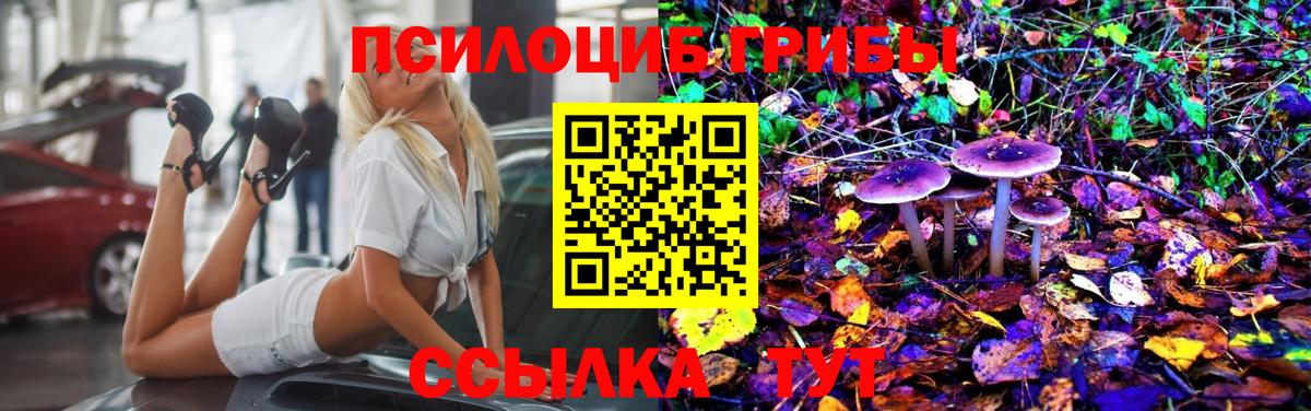 Краснокаменск  Галлюциногенные грибы Psilocybine cubensis  Вход с VPN 
